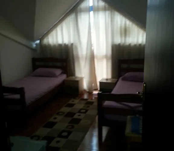 Ambasador 3*